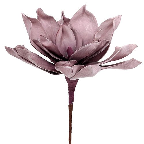 Floristik24 Schuimbloesem Magnolia-bes Ø15cm L67cm
