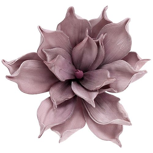 Floristik24 Schuimbloesem Magnolia-bes Ø15cm L67cm