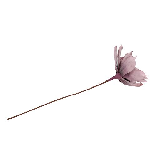 Floristik24 Schuimbloesem Magnolia-bes Ø15cm L67cm