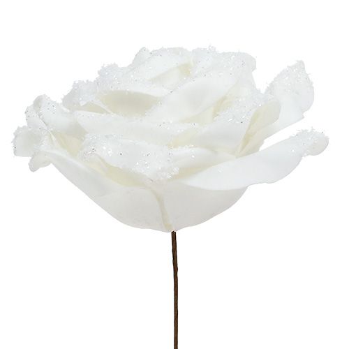 Floristik24 Foamrose wit Ø10cm gesneeuwd 6st