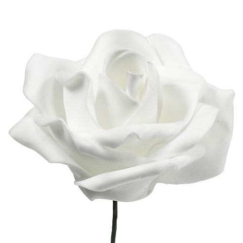 Floristik24 Foam rozen wit Ø5cm 12st