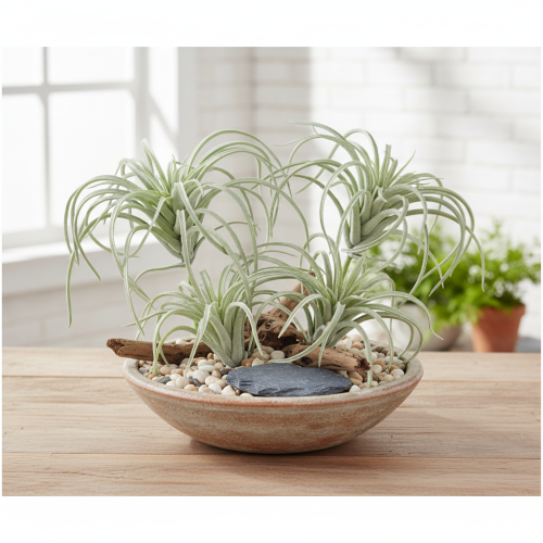 Artikel Tillandsia succulente kunstgroene planten 13cm
