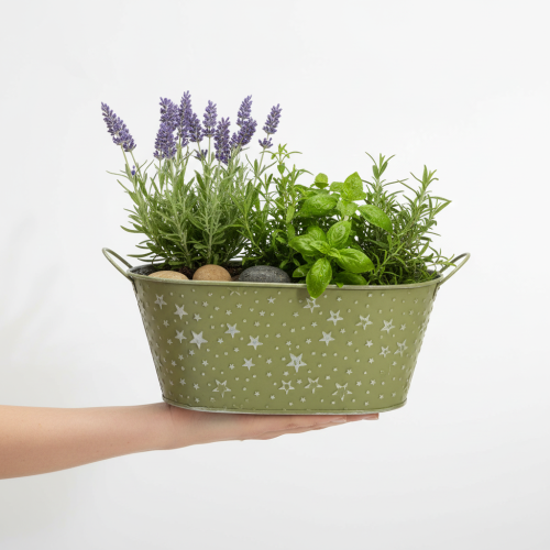 Artikel Ovale metalen schaal met sterren en handvatten, groen, 31 × 16 cm, H 12,5 cm