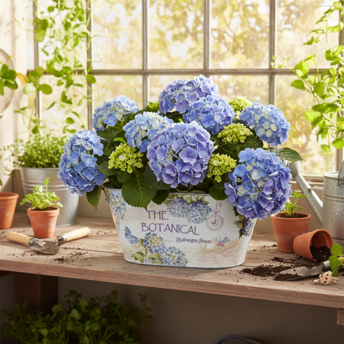 Artikel Ovale metalen bloemenvaas met handvatten, voor hortensia's, 32×15×15 cm