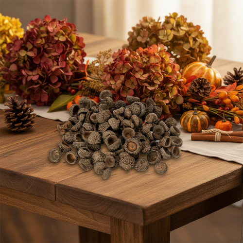 Natuurlijke eikelkapjes, decoratieve schalen voor de herfst en advent, 2 cm, 300 g | Floristik24.nl