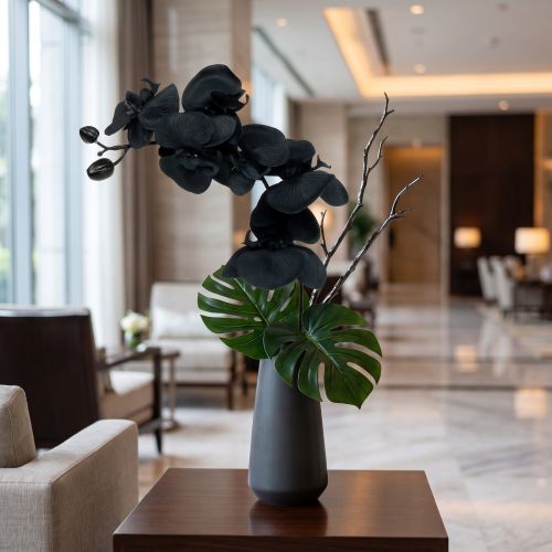 Orchidee ter decoratie Zwart 54cm | Floristik24.nl