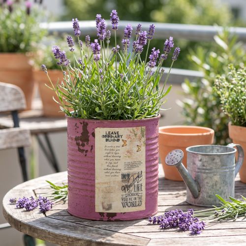 Vintage plantenbak, decoratieve paarse metalen doos, zomerdecoratie Ø11cm H10.5cm | Floristik24.nl