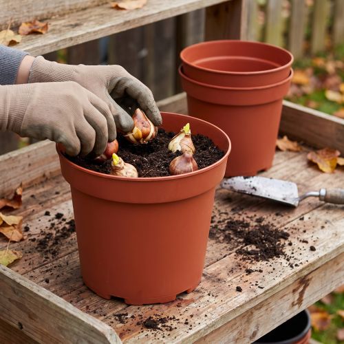 Plantenpot kunststof Ø29cm 10st | Floristik24.nl
