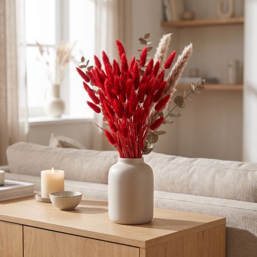 Decoratief rood gras, Lagurus, fluweelgras, gedroogde bloemstukken L20–50cm 25g | Floristik24.nl