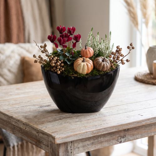 Decoratieve schaal zwart ovaal plantenboot 24x9,5cmx14,5cm | Floristik24.nl