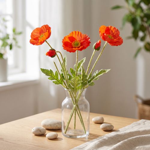 Klaproos oranje 60cm 3st | Floristik24.nl