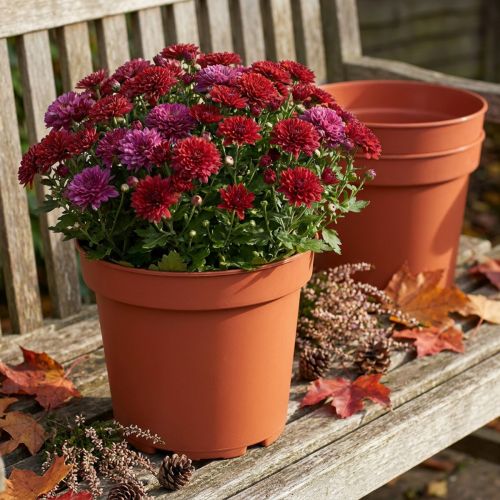 Plantenpot kunststof Ø23cm 10st | Floristik24.nl