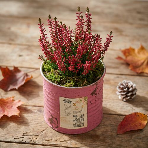 Bloempot, decoratieve pot, rond, paars, metaal, vintage decoratie, Ø8cm, H7.5cm | Floristik24.nl