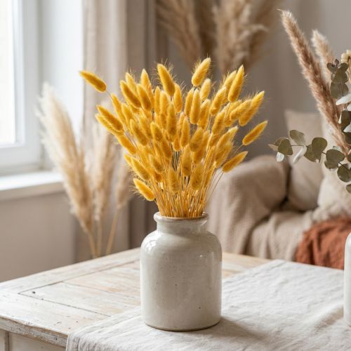 Lagurus Geel, Fluweelgras, Konijnenstaartgras L20-50cm 25g | Floristik24.nl