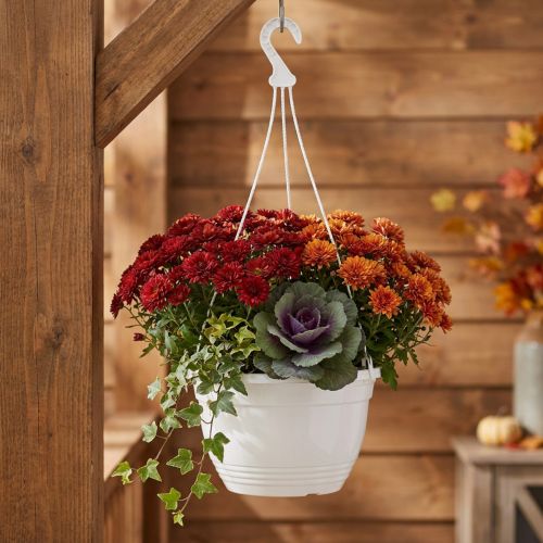 Hangmand Ø30cm wit | Floristik24.nl