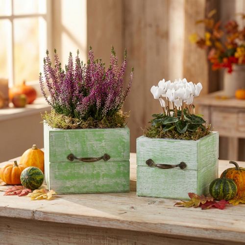 Plantenbak houten lade lichtgroen 15x15/12x12cm set van 2 | Floristik24.nl