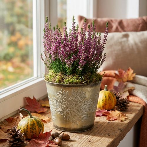 Planter voor de herfst, metalen emmer met bladdecoratie, gouden metalen schaal Ø14cm H12.5cm | Floristik24.nl