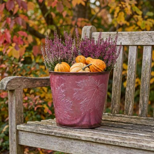 Planter, metalen emmer met bladeren, herfstdecoratie wijnrood Ø18cm H17cm | Floristik24.nl