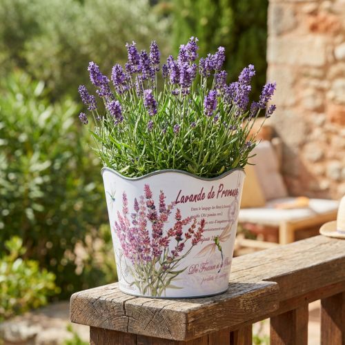 Plantenbak kunststof bloempot zomer lavendel Ø16,5cm H13,5cm | Floristik24.nl