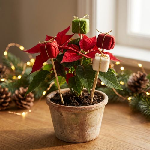 Bloemplug Kerst Kerstpakket 2,5cm 15 st | Floristik24.nl