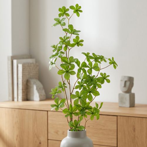 Kunstmatige Schefflera-tak,