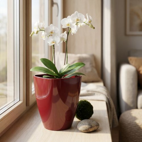 Orchideepot glanzend Ø12,5cm Bordeaux 1 st | Floristik24.nl