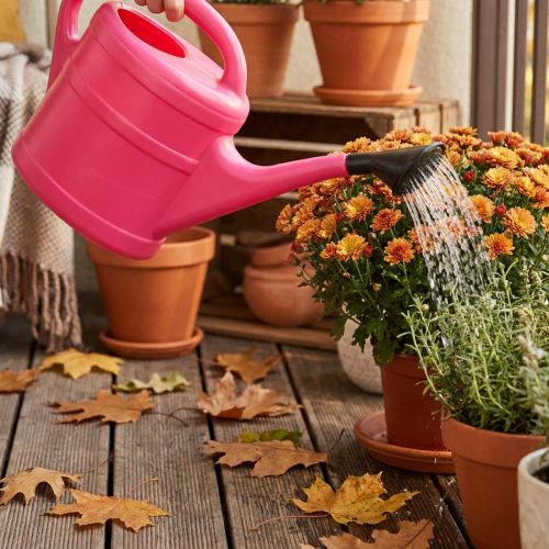 Roze gieter, 5 liter