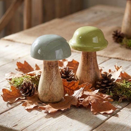 Houten paddestoelen decoratieve paddestoelen hout grijs groen Ø6cm H10cm 2st | Floristik24.nl