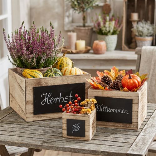 Rustieke houten dozen met krijtbordoppervlak – naturel en zwart, diverse maten – veelzijdige opbergoplossing – set van 3 | Floristik24.nl