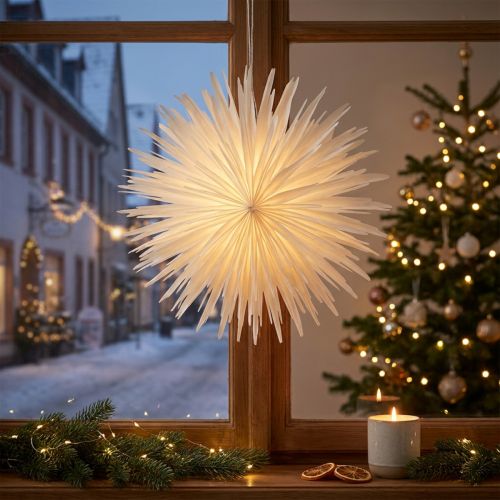 Sneeuwvlok Papier Decoratie