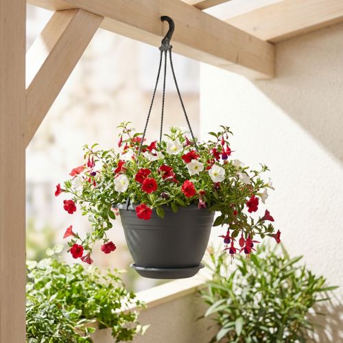 Hangmand Galicia Ø30cm antraciet | Floristik24.nl