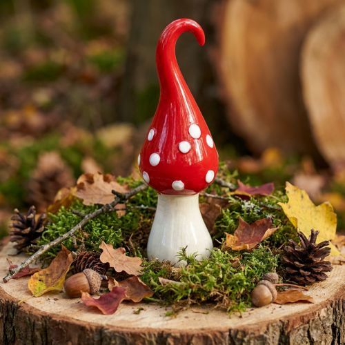 Deco Vliegenzwam Keramiek Deco Paddestoel Rood Wit Ø6.5cm H21cm | Floristik24.nl