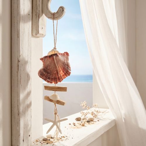 Maritieme decoratieve hanger schelp zeester Ø10–12cm 40cm | Floristik24.nl
