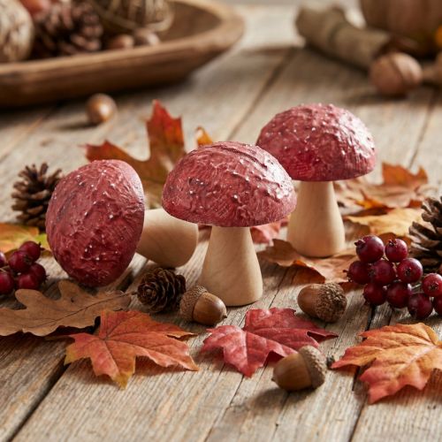 Houten paddenstoelen decoratieve paddenstoelen tafeldecoratie herfstrood naturel 5×6cm 9st | Floristik24.nl
