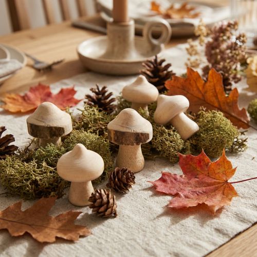 Decoratie met mini-paddenstoelen van hout, naturel met schors, Ø2 cm, 36 stuks | Floristik24.nl