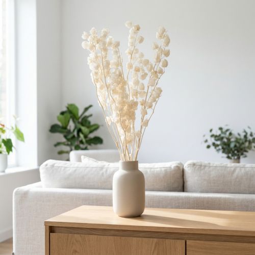 Artikel Gedroogde Physalis, gebleekte Chinese lantaarnbloem, decoratieve Nicandra, 75-80 cm, 100 g