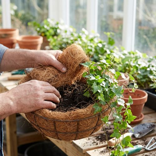 Kokosvezels natuurlijke plantenvezels natuurlijke vezel knutselmateriaal 1kg | Floristik24.nl