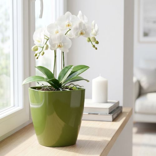 Orchideepot glanzend Ø12,5cm olijfgroen 1 stuk | Floristik24.nl