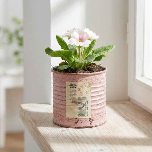 Decoratieve ronde bloempot van tin in antieke roze kleur, metalen plantenbak Ø8cm H7.5cm | Floristik24.nl