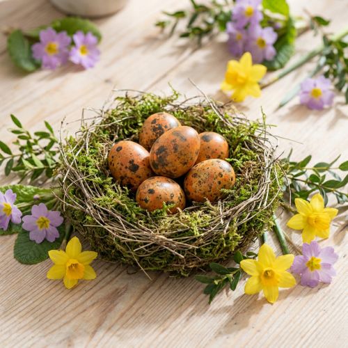 Artikel Kwarteleitjes decoratie geblazen eieren oranje abrikoos 3cm 50 st