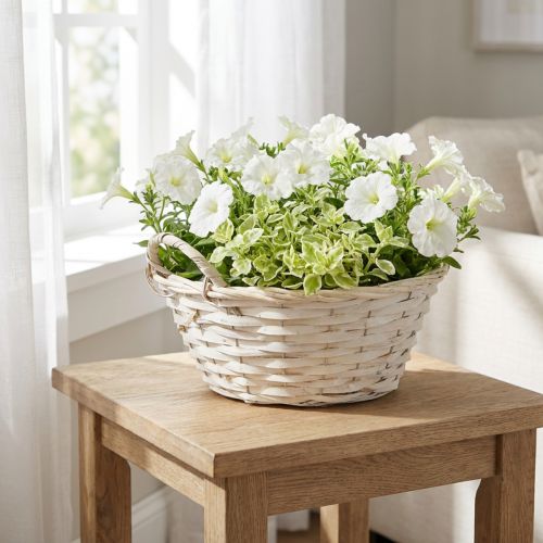 Mand met handgrepen, spaanplaatmand, plantenmand, wit, vintage, decoratief, Ø35cm | Floristik24.nl