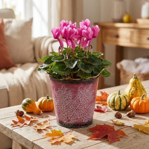 Planter met bladdecoratie, metalen vat, herfst, plantenpot wijnrood Ø10cm H10cm | Floristik24.nl