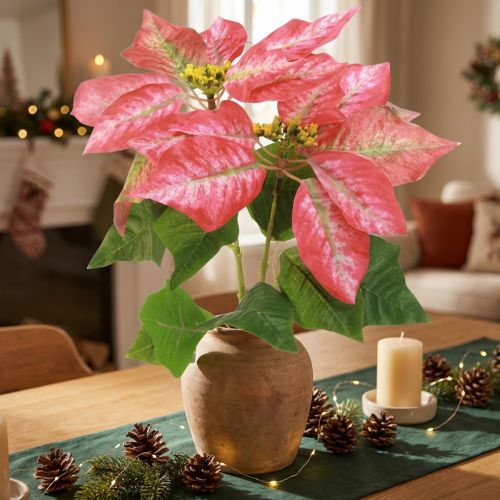Kunst Poinsettia Rood Roze L35cm 6st 2 bosjes | Floristik24.nl