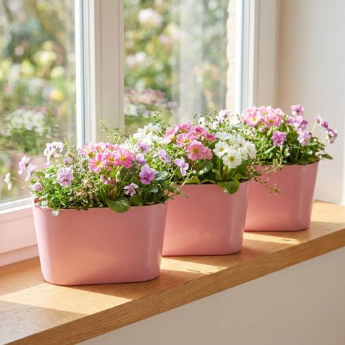 Plantenschaal ovaal roze sierschaal kunststof 20×10×11cm 3st | Floristik24.nl