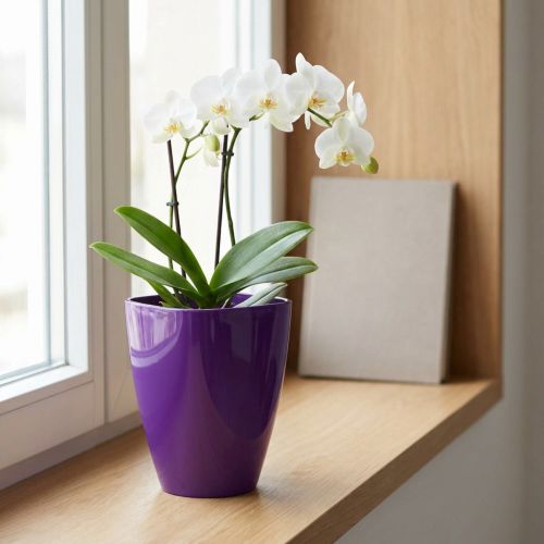 Orchideeënpot, glanzend, Ø12,5 cm, violet | Floristik24.nl