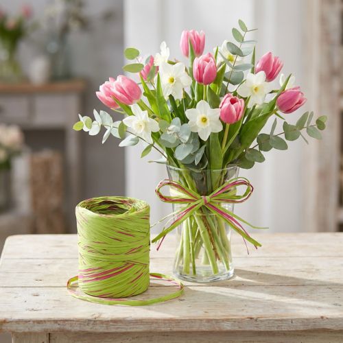 Raffia lint lichtgroen, roze, poly raffia 200m | Floristik24.nl