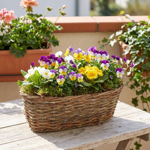 Ovale plantenmand, met rankmotief, natuurlijke plantenbak, 30 cm lang | Floristik24.nl
