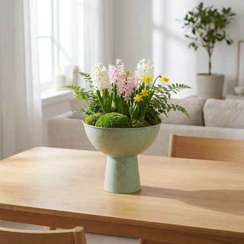 Artikel Schaal met standaard voor planten, decoratieve schaal, 25 cm