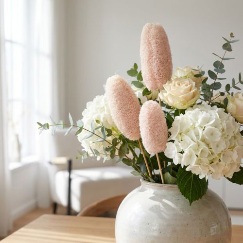 Grote luffa op stok, gebleekt, 25 stuks | Floristik24.nl