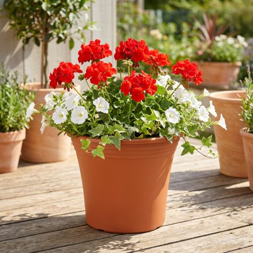 Pot “Irys” kunststof terracotta Ø22cm H18cm 1 st | Floristik24.nl